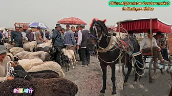 The China-Afghanistan border, a rare camel trading market, and Kashgar's cuisine