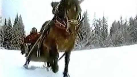Jose Feliciano Official Video - Feliz Navidad