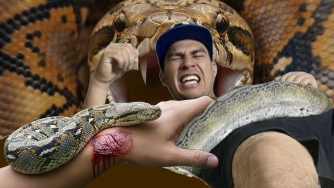 Por la mordida de esta serpiente casi p1erdo la vida PARTE 1 