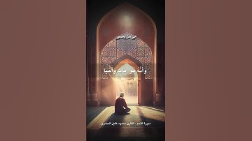 وأنه هو أضحك وأبكى | سورة النجم | القارئ محمود خليل الحصري | هدوء و جمال #قرآن #quran #reels #الحصري