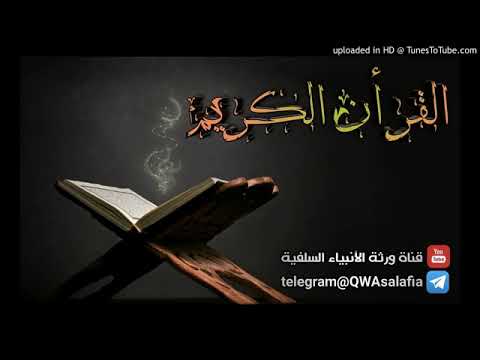 تلاوة عطرة للشبل صخر بن الشيخ رشاد الحبيشي