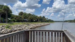 Living in Palm Coast Florida What No One Tells You Before Moving Part 3