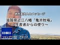 【京都　旅行会社　特産品　近江牛】滋賀県近江八幡　亀井牧場・まる亀こうし牧場「生産者との触れ合い」グランドチャンピオン受賞・ブランド和牛【動画　YouTube  オンライン】