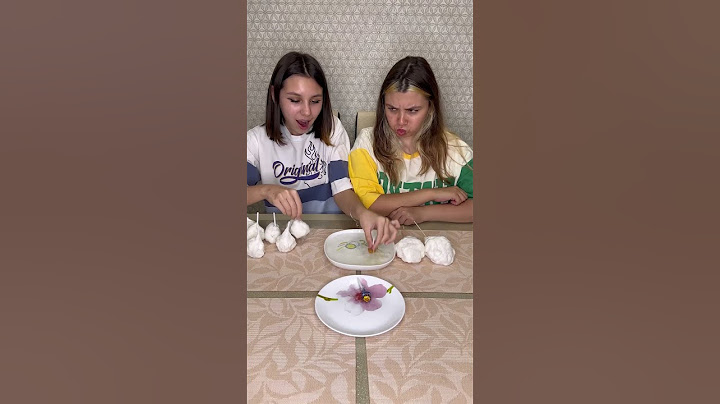 Choose food challenge 😂 Is two large multi-colored lollipops better? #shorts Best video by Hmelkofm