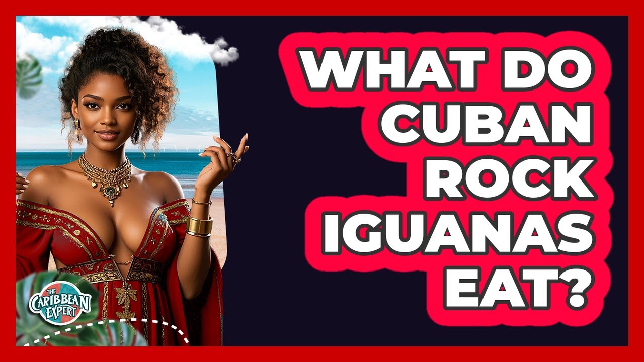 What Do Cuban Rock Iguanas Eat?