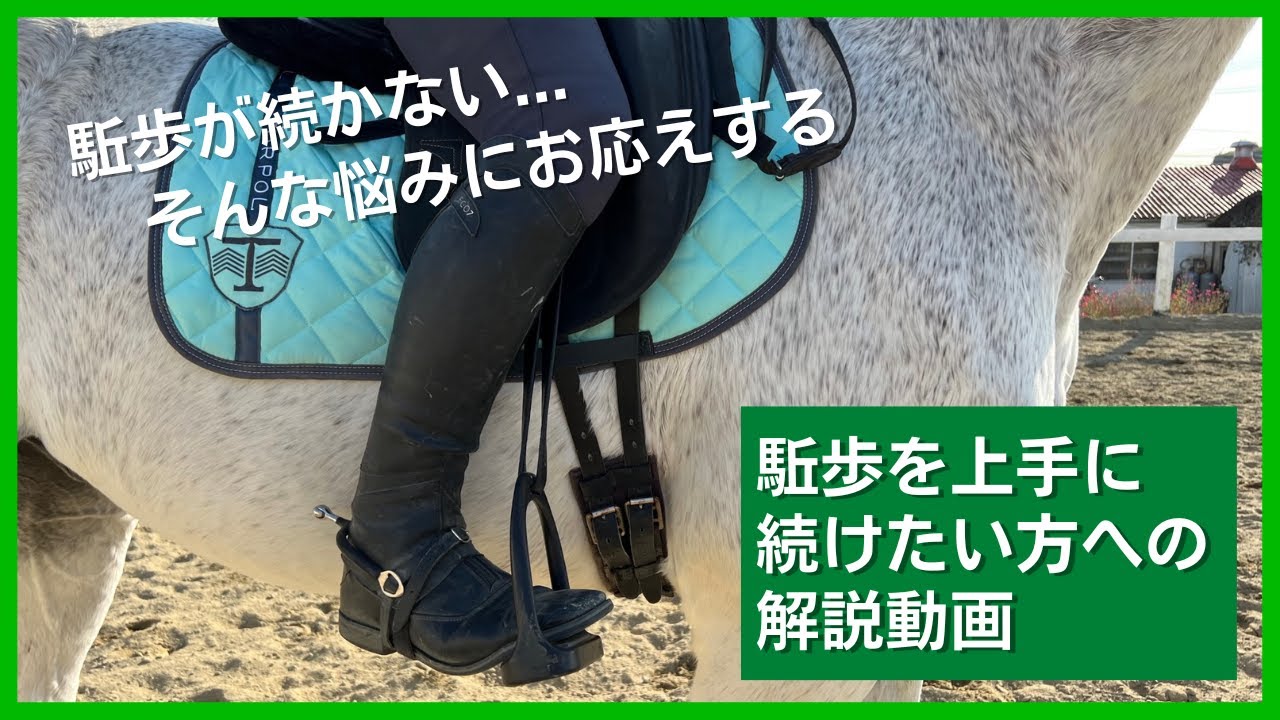 お悩み解決「駈歩継続のポイント」エルミオーレ豊田　吉川インストラクター&アルストロメリア