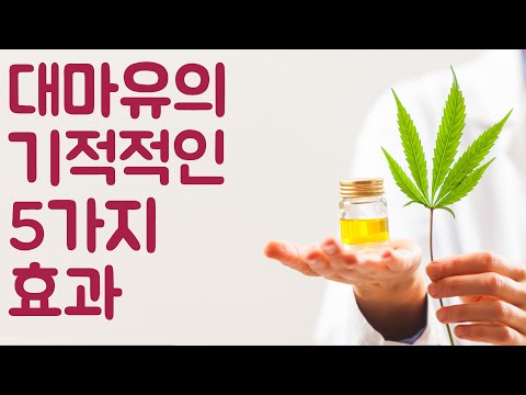 대마유의 기적적인 5가지 효과 | 혜택 Benefits - Korean