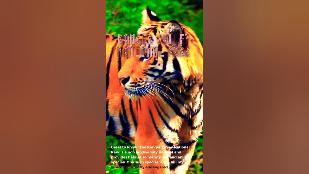 Rice Bowl of Central India Chhattisgarh YouTube