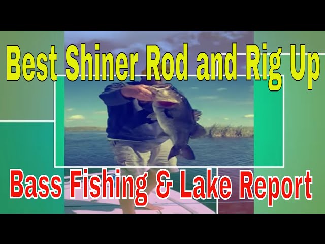 The best shiner rig up and rod setup. Headwaters Lake Bass fishing