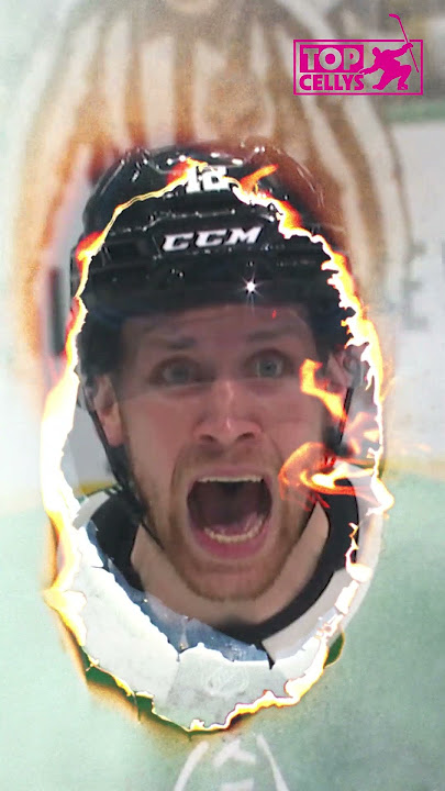 Elite Celebrations from the 2024 Stanley Playoffs