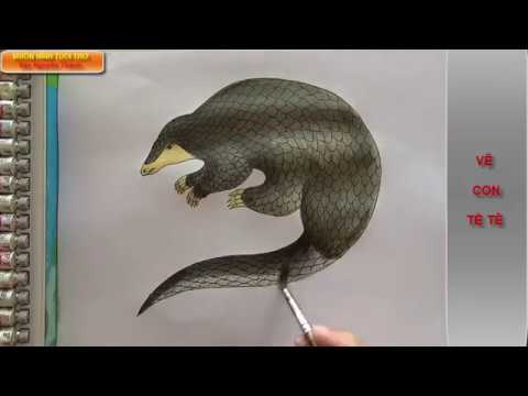 Vẽ con vật 123 Vẽ con tê tê  How to draw a pangolin  YouTube