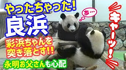 ぱんだふる Youtube