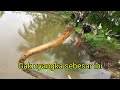 @ GAK NYANGKA SEBESAR INI !! #