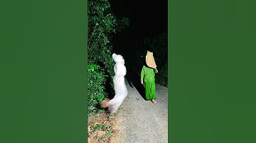 Master Pocong Funny Ghost Prank #funny #ghost #prank #shorts
