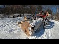 Logging With Horses. a few skids from when we actually had a winter. 62