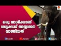        elephant stories  kerala elephants