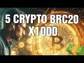 5 Cryptomonnaies BRC20 à avoir absolument pour le prochain Bullrun