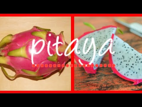Vidéo: Méthodes de propagation des fruits du dragon - Comment propager les plantes Pitaya