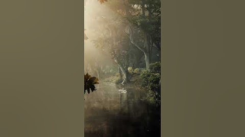 Before and after Lightroom Mobile Tutorial #shorts #lightroomediting #youtubeshorts #shortsvideos