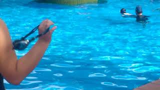 WP 20180901 09 29 01 Pro