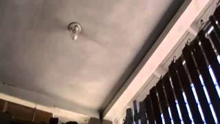 Download Lagu Bird S Swear MP3 Bird S Swear