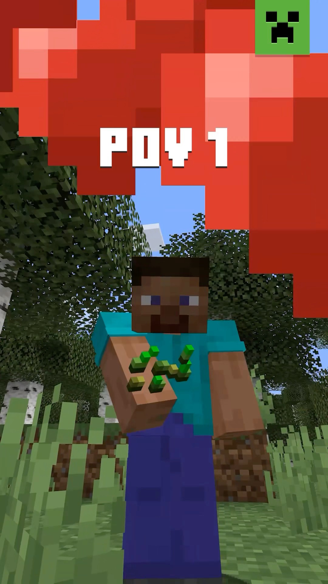WHOSE VIEW IS THIS IN MINECRAFT?