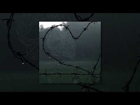 Petals Hole Looped Intro 