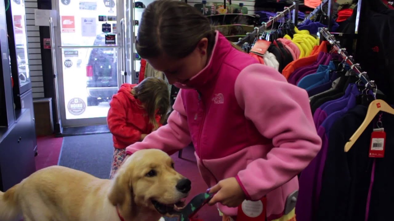 Bob's Sports Chalet Back to School Cinepromo YouTube