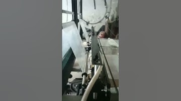 Máy cắt túi in lô gô và đục hạt xoài 2 làn tự động.