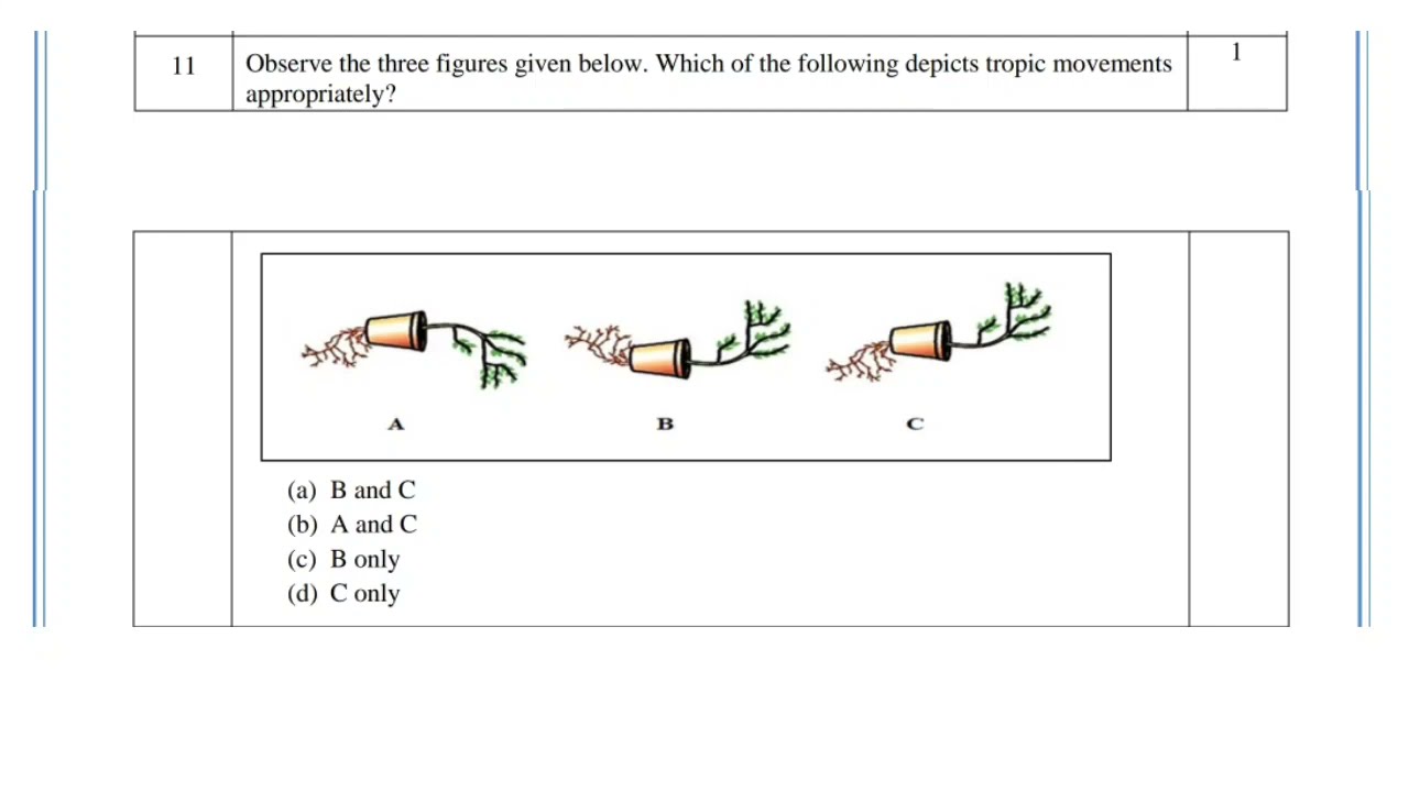 Figure 1 2 3 And 4 Depicts Variation Of Force With Time