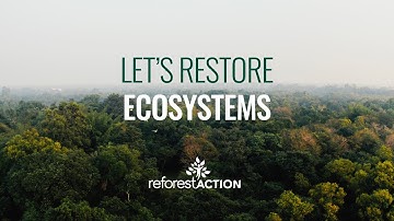 Reforest