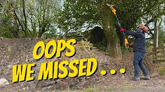 Mini Chainsaw or Powered Pruners? Have we found the BEST?