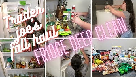 NEW FRIDGE CLEAN WITH ME // TRADER JOES FALL HAUL