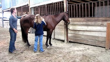 Big Enough - 4/6/12 lesson - grooming - Valley View Ranch