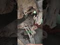 ###ritz diesel leg body chesis rusting remove###