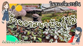 ร้านวาสนาในซอยวัดพระเงิน ย่านบางใหญ่ จังหวัด นนทบุรี