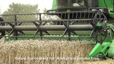 FiveF - Crops for Alkasystem