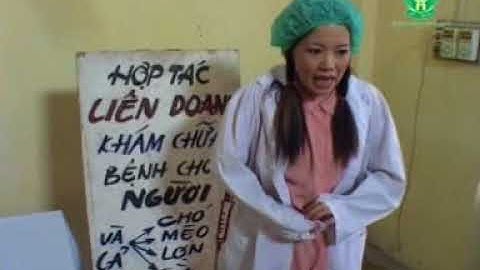 Gậy ông đập lưng ông - Chí Trung, Ngọc Huyền, Hiệp gà