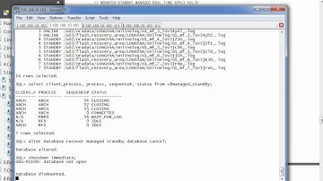 05.03 Oracle_10gR2_DataGuard_5.3 Downgrading the Protection Mode.avi