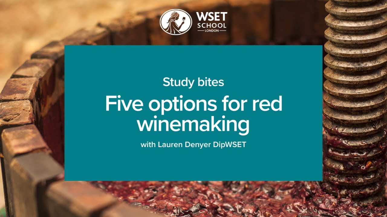 Study bites: five options for red winemaking (WSET Level 3 wine)