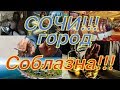 Сочи - город соблазна!!! Почему "сливаются" успешные?