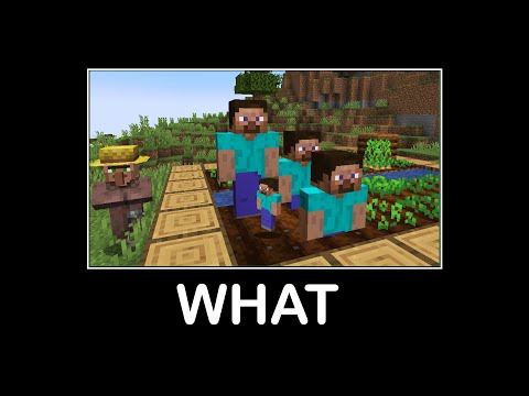 Wait What Minecraft Memes#10