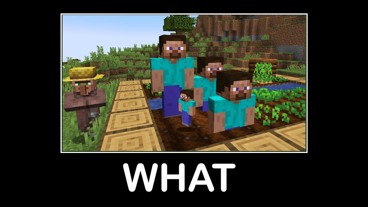 Wait What Minecraft Memes#10 - YouTube