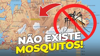 CONHEÇA O ÚNICO PAÍS DO MUNDO QUE NÃO TEM MOSQUITOS