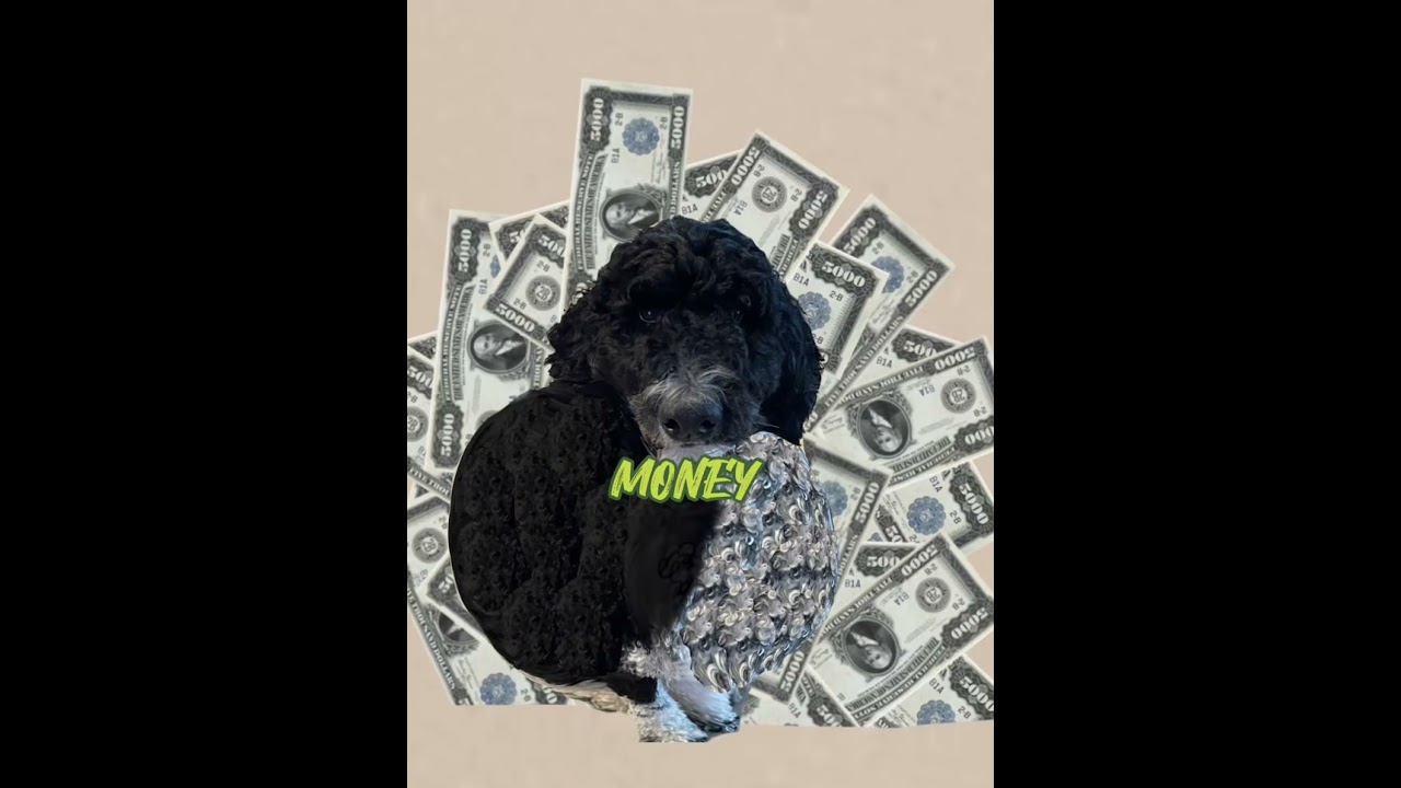 MONEY MONEY GREEN GREEN meme 