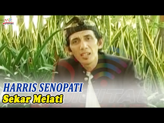 Harris Senopati - Sekar Melati (Official Music Video) class=