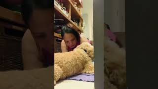 #dog #viral #shortvideo #shorts #cute #