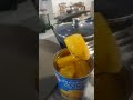 Canned jack fruit