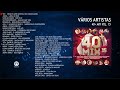 Vários artistas - 40  Mix Vol. 15 (Full album)