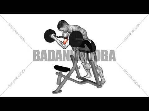 262 جلو بازو هالتر ای زد ایستاده روی میزلاری    